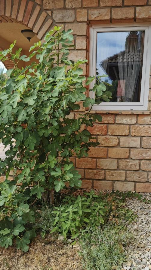 Mediterrania Apartment Keszthely Exterior photo